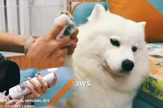 make product videos in china