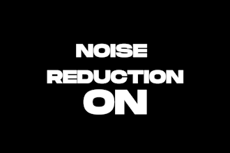 professionally perform noise reduction on your audio files