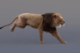 do realistic 3d animal model, 3d animal rigging, 3d animal animation 3d creature