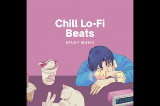 send you 5 to 15 lofi chill hip hop beats