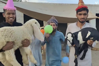 make happy birthday video africa or say anything as indian spokesperson
