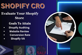 get the overall efficient website auditng and increase cro