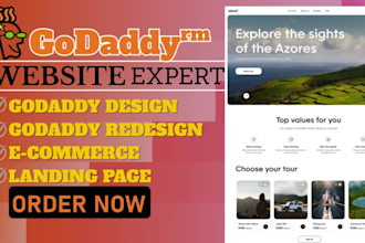 design build create develop revamp set up configure connect godaddy website dns