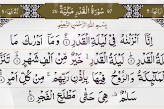 professional online quranic recitation and tajweed tutor