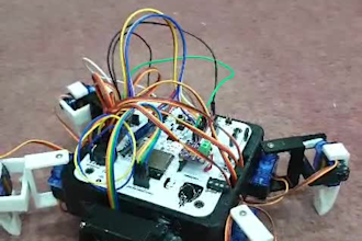 do mechatronics and robotics projects for you