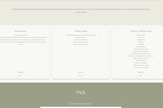 customize your dubsado form with fonts colors styling animations
