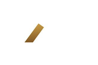 create a custom logo animation, intro and outro