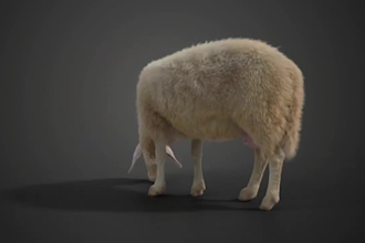 3d animal model animal design creature xgen fur model for 3d printing  blender
