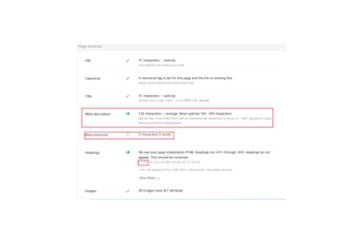 create SEO audit report and technical optimization