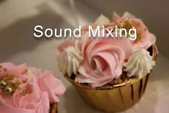 edit sweet 16 and birthday video highlight