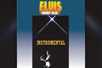 extract the official instrumental from a song