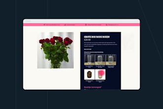 do amazing website and app promo video