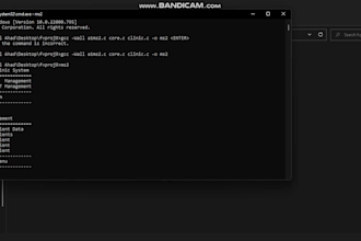 be your programmer for python, c, cpp, and java projects