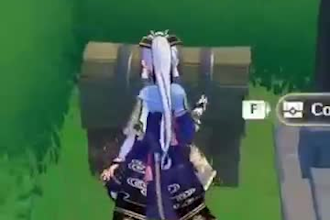 offer all genshin and wuthering waves piloting services
