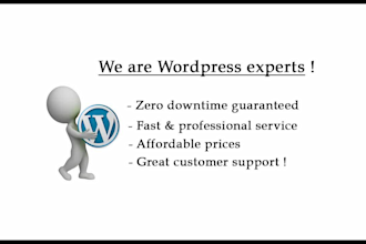 migrate wordpress, transfer wordpress in 24 hours