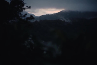 edit wedding videos beautifully, quickly and profesionally