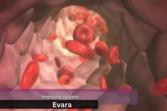 3d medical animation video explainer video anatomy healthcare 3d medical product