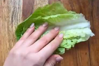 create nutritious vegan recipe videos healthy delicious recipe youtube channel