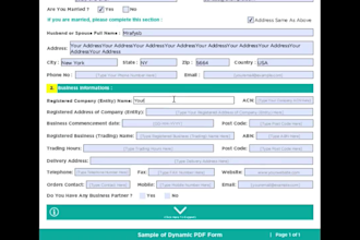 create professional fillable PDF form and PDF fillable form