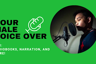 record professional voice over for youtube videos, commercials, and narration