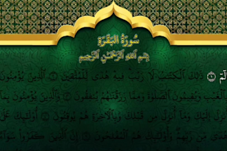 be your professional online quran teacher