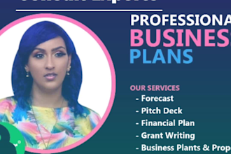 write investor ready business plan,grant proposal,pitch deck