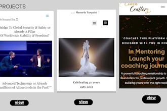 create aprofessional wordpress website with free preview