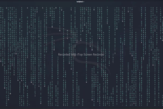 install and teach you kali linux