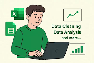 data cleaning, data analysis of excel spreadsheet