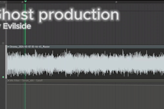 produce edm house trap dubstep future bass etc for you