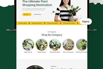 build or rebuild website development as full stack developer and website design