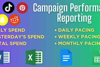 do campaign performance report from facebook tiktok snapchat pinterest ads daily