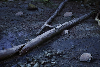 create level , environment with lighting design in unreal engine