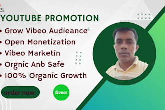 professional youtube video marketing channel ke trip
