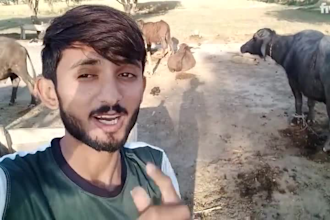 wish african happy birthday and funny happy birthday video
