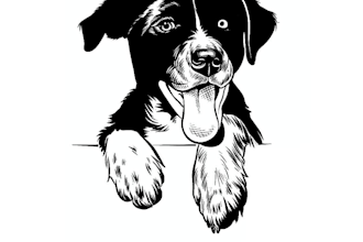 draw custom pet portrait of your dog from your photo in black and white