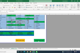 create professional excel spreadsheet using formulas , graphs , macros and vba