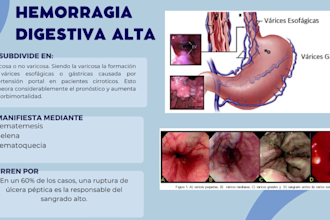 diapositivas creativas y bonitas entrega rápida