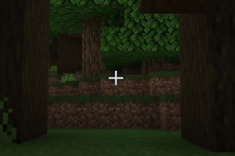 make minecraft shorts that performs good