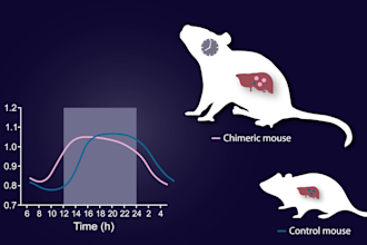 create a scientific 2d animated explainer video
