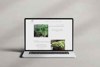 create custom branding and website design