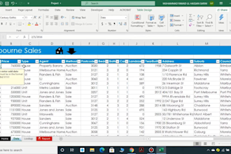 be the problem solving expert for microsoft excel assignment and project