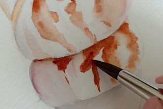 a set of watercolor illustrations, themed clip art