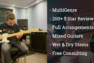 be your world renowned guitar player for your song