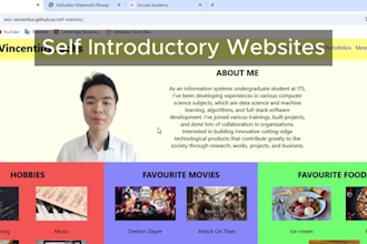 develop professional and beautiful websites