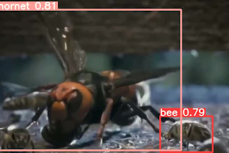 train yolo and cnn model for object detection  and instance segmentation