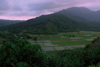 do your cinematic editing