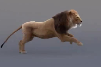 create realistic cgi animal models, 3d animal rigging, cgi animal animation