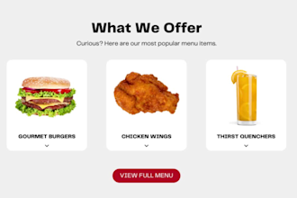 wordpress landing page design or one page website