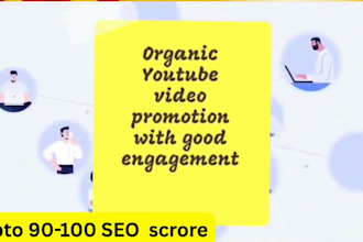 be best youtube video SEO expert and channel growth manager